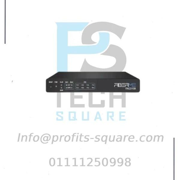 FEG4301